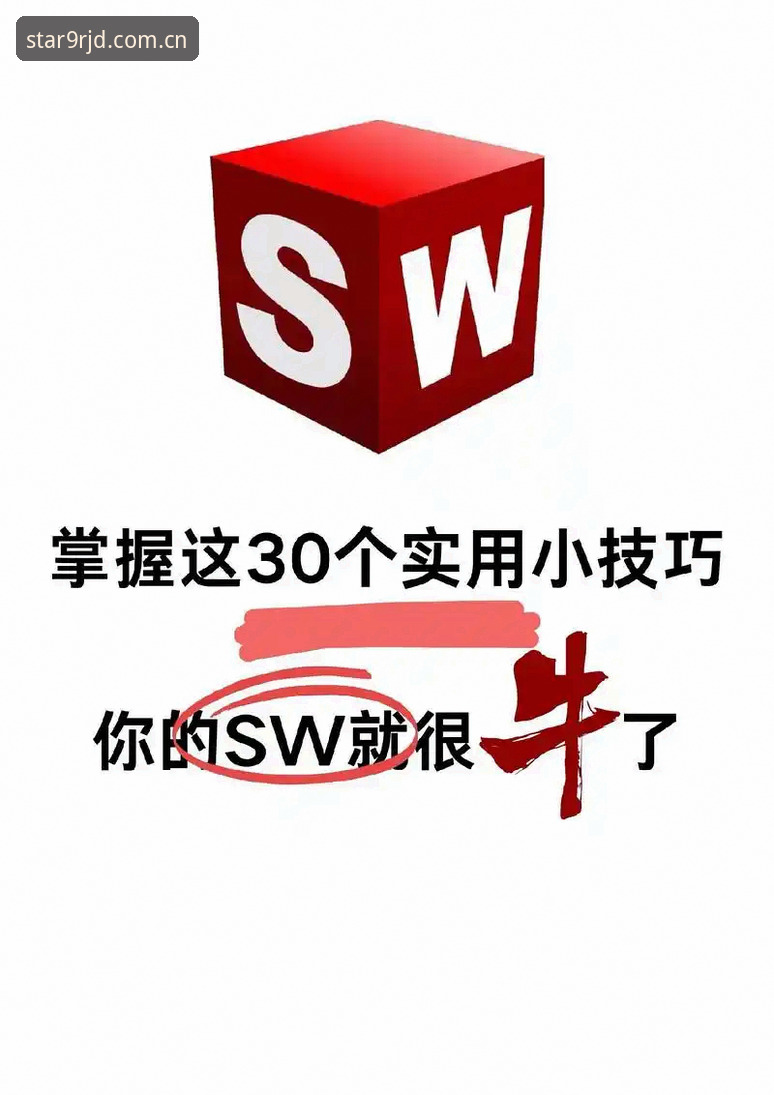星空APP安卓版登录四步搞定：2024第四季官网实用操作技巧
